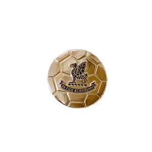 Badge - Football