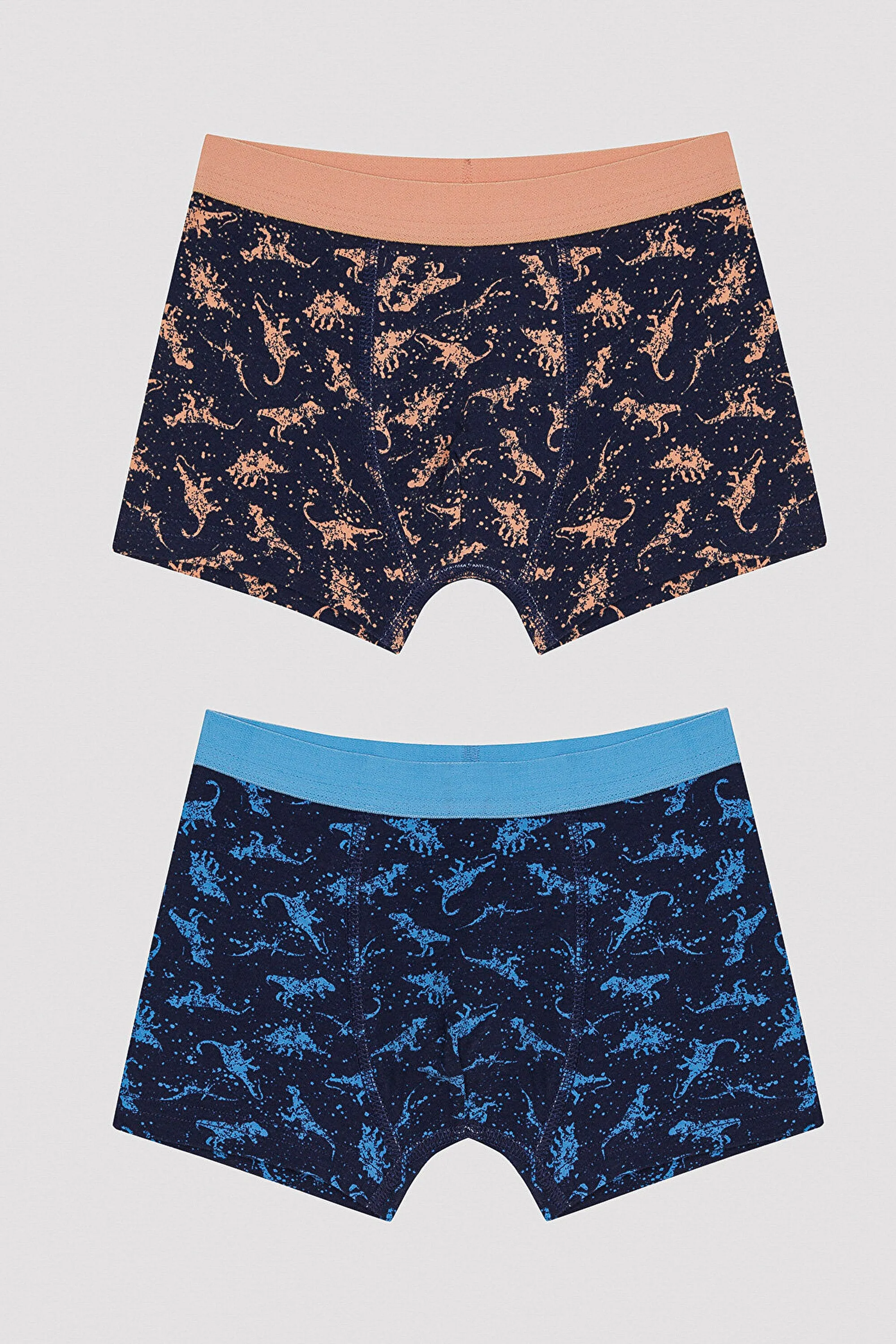 Boy Colorful Dino 2-pack Boxer