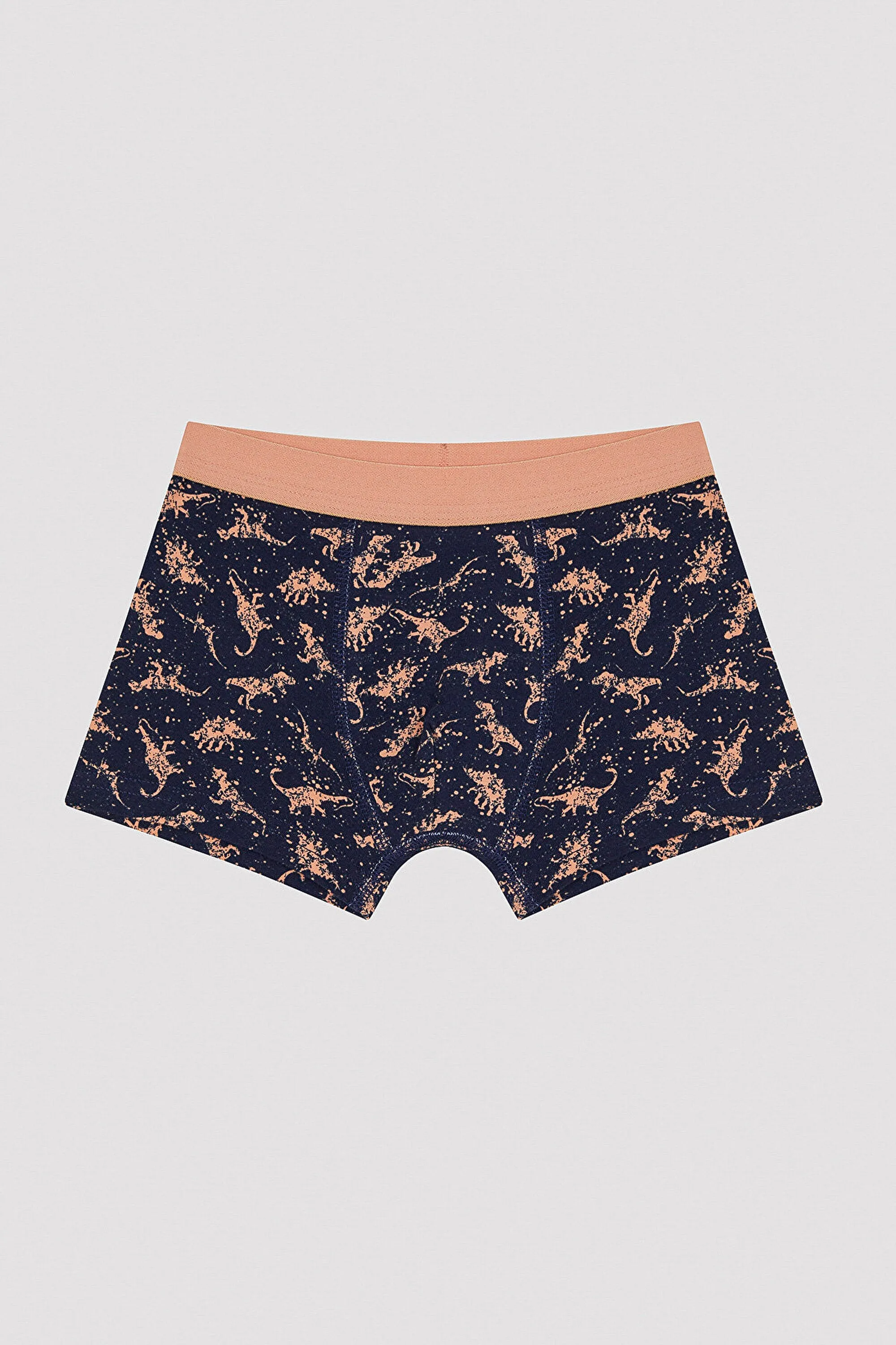 Boy Colorful Dino 2-pack Boxer