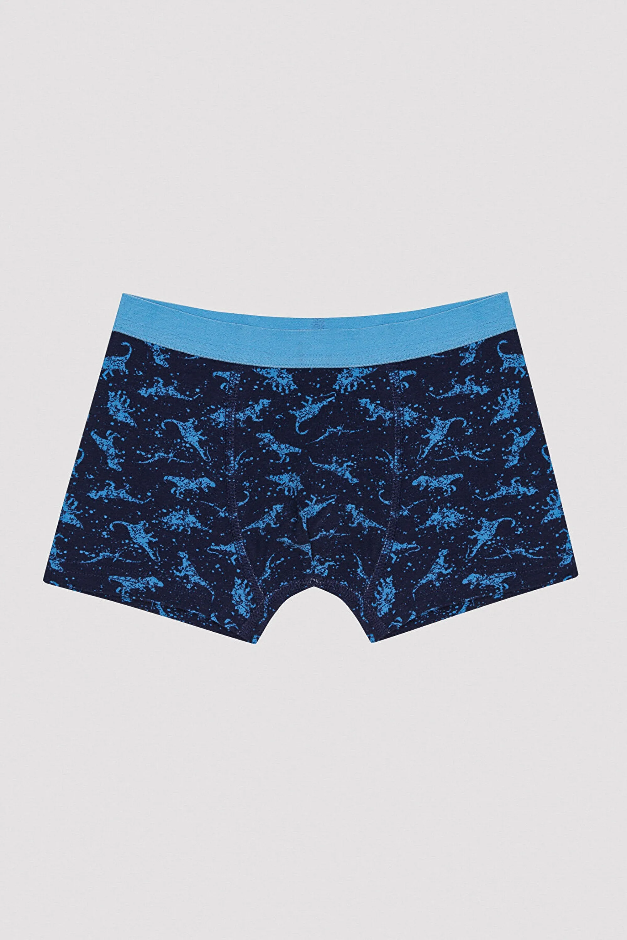 Boy Colorful Dino 2-pack Boxer