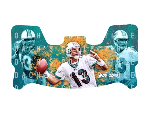 Dan Marino Custom Visor for Any Full Size Riddell Helmet (Universal Fit) (2)
