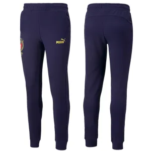 Italy Euro Winner graphic presentation pants 2021/22 - Puma
