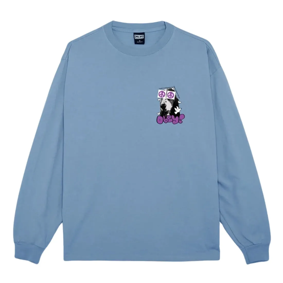 Obey Peace Eyes Heavy Weight Longsleeve Box Fit T-Shirt - Hydrangea