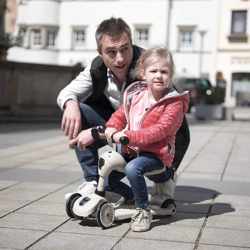 Scoot And Ride Highwaykick 1