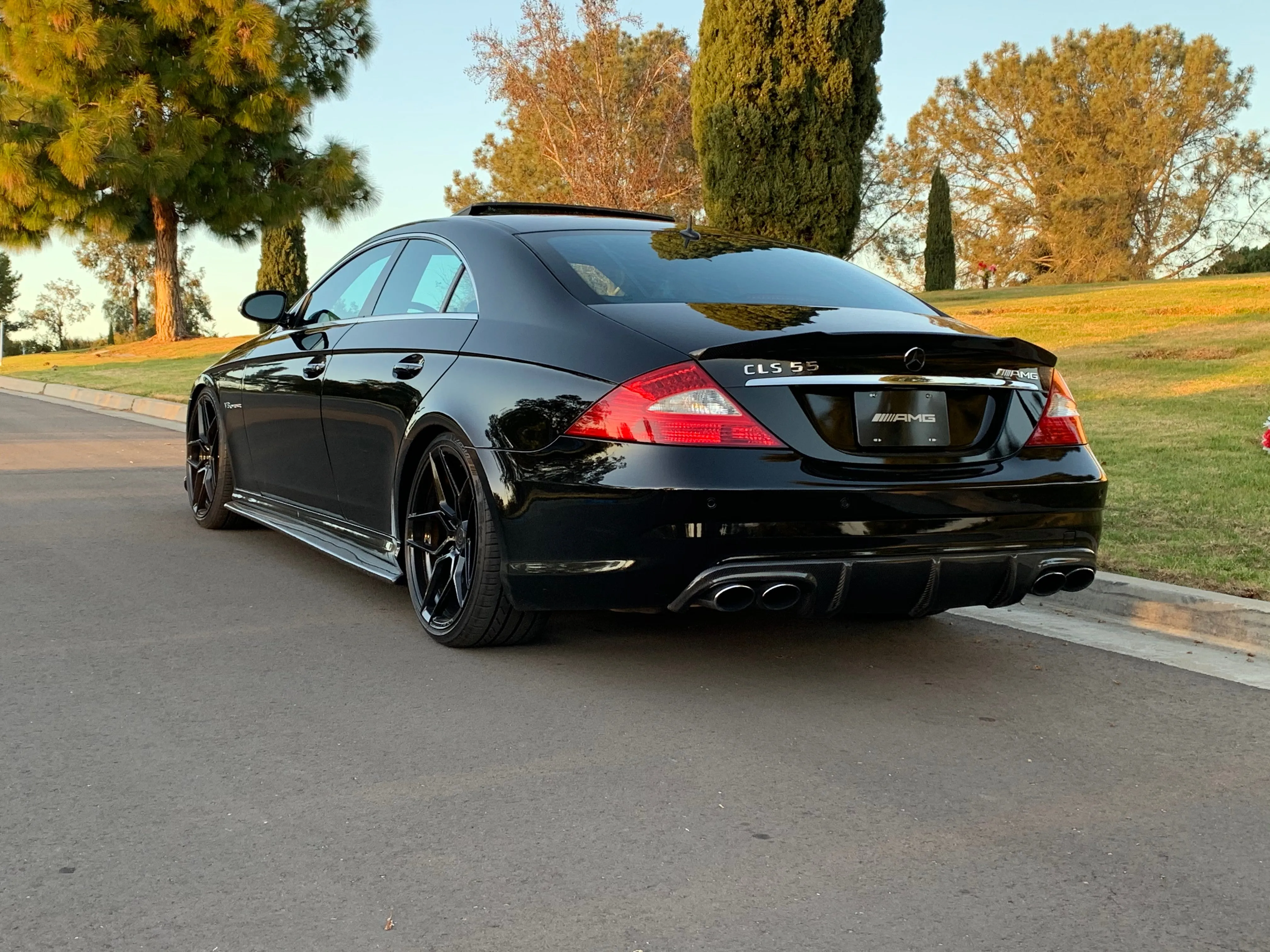 W219 CLS55 & CLS63 AMG Rear Bumper Carbon Fiber Diffuser