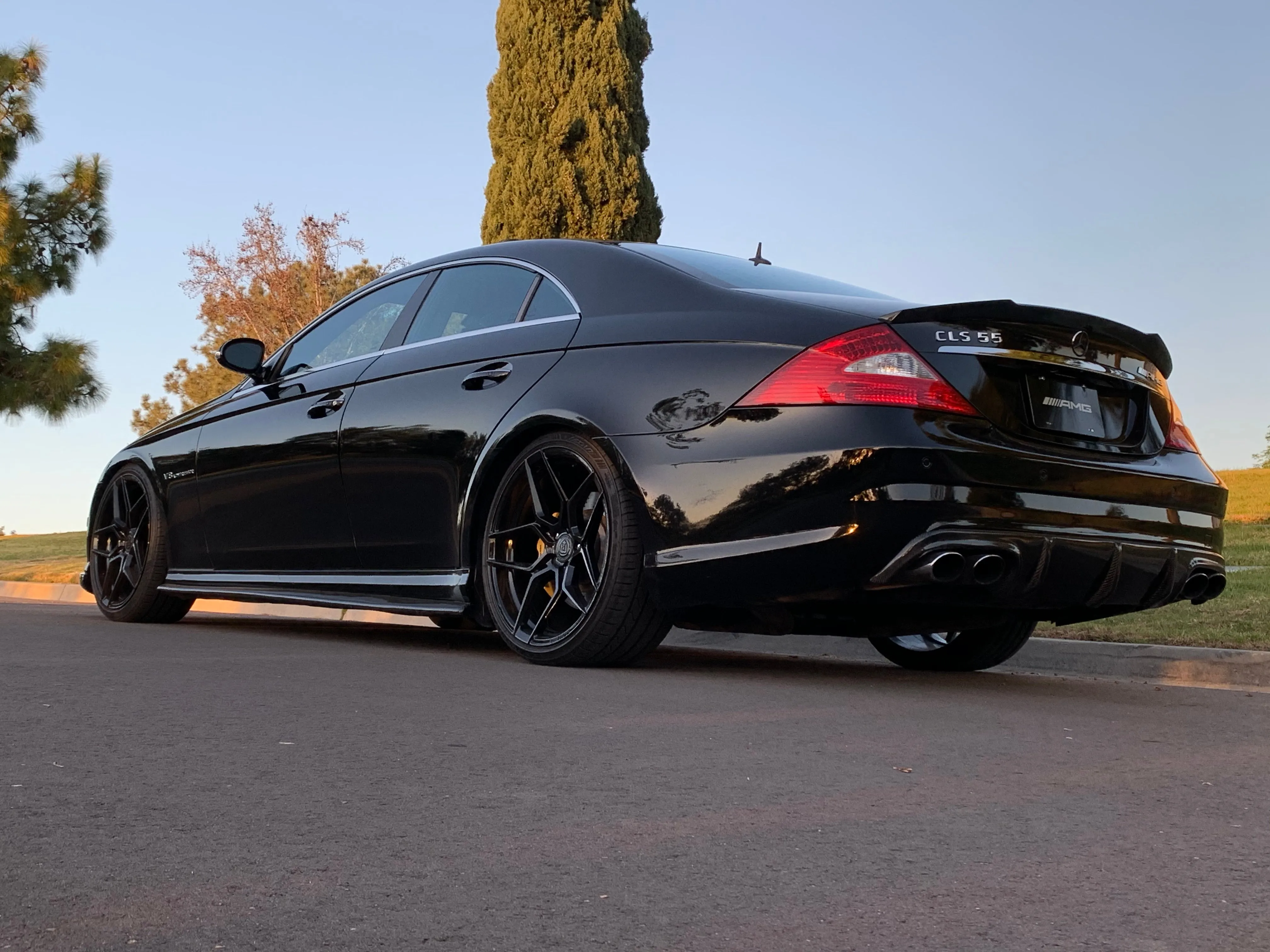 W219 CLS55 & CLS63 AMG Rear Bumper Carbon Fiber Diffuser
